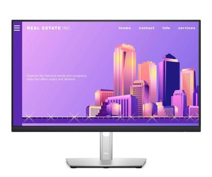 Monitor LED 24" (23,5"-26,4") DELL 23.8'' P2422H, Srebrny (210-AZYX/5Y)